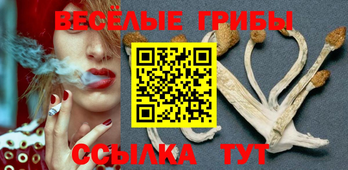 Псилоцибиновые грибы GOLDEN TEACHER  Вход с VPN  Орск 